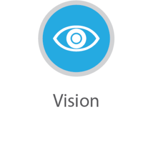MB-IVT_Vision