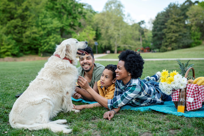 Happy family with their dog in a park