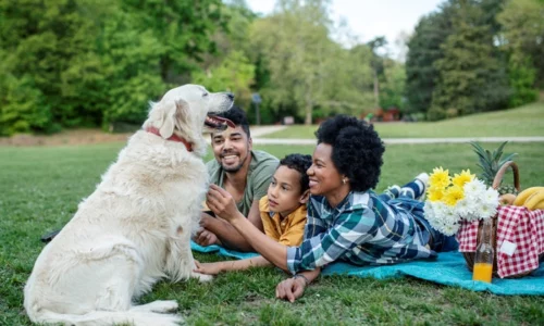 Happy Family With Their Dog In A Park