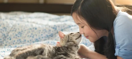 Child and kitten touching noses