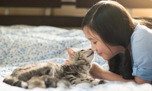 Child and kitten touching noses