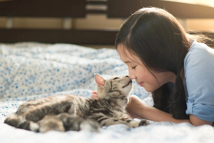 Child and kitten touching noses